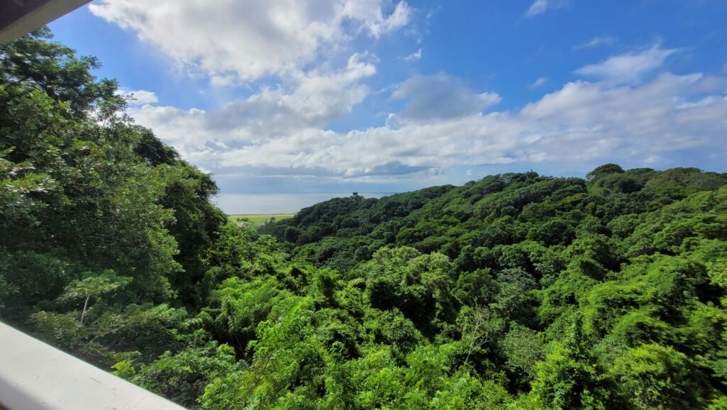 Enjoy stunning island views and photo stops during your private Roatán land tour.